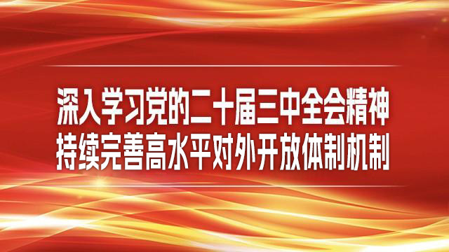 深入学习党的二十届三中全会精神，持续完善高水平对外开放体制机制